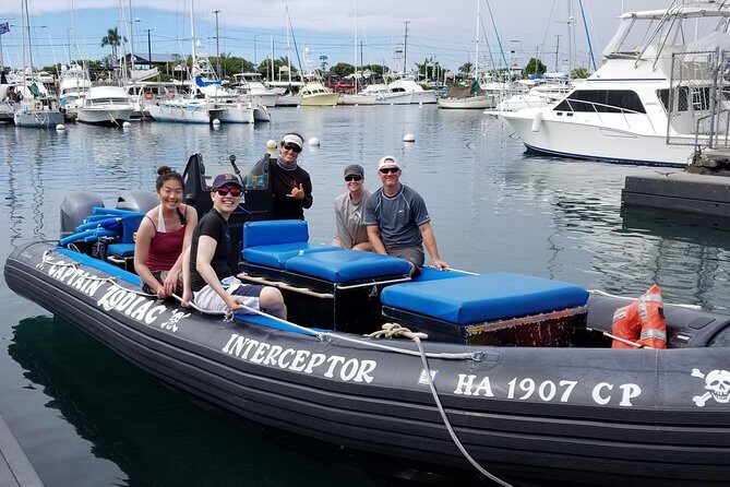 Pelagic Wildlife Excursion - Who Will Love This Tour?