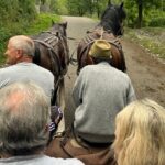 Peles castle and authentic Romanian village experience - day trip - Nature and Scenic Stops