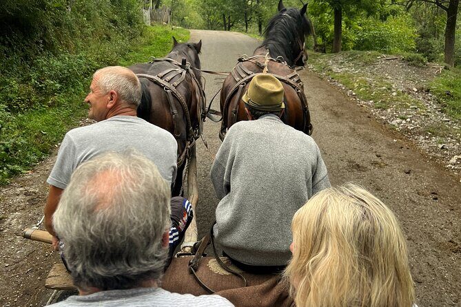Peles castle and authentic Romanian village experience - day trip - Nature and Scenic Stops
