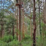 Pemberton: 2.5h Ultimate Ziplines & High Ropes Experience - What Makes This Tour Stand Out?