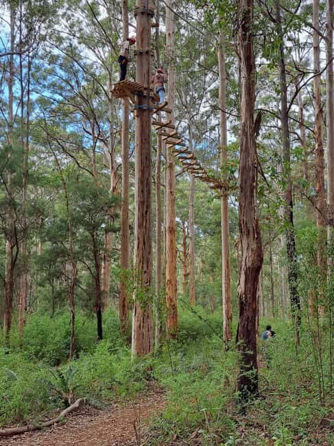 Pemberton: 2.5h Ultimate Ziplines & High Ropes Experience - What Makes This Tour Stand Out?