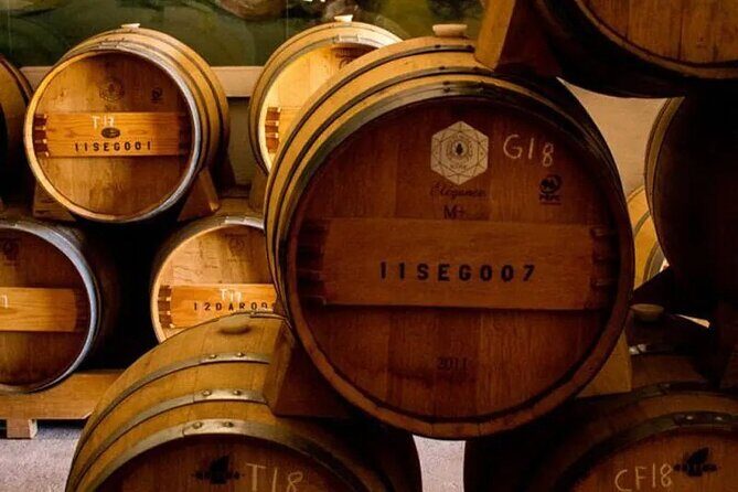 Pena de Bernal Tequisquiapan and wine - Practical Considerations and Value