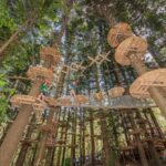 Pennant Hills: Tree Ropes Course Session - In-Depth Review of Pennant Hills Tree Ropes Course