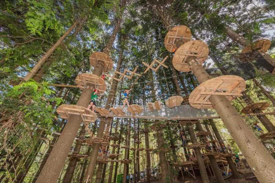 Pennant Hills: Tree Ropes Course Session - In-Depth Review of Pennant Hills Tree Ropes Course