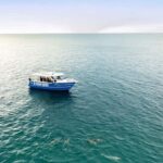 Penneshaw: Kangaroo Island Ultimate Adventure Tour - Why This Tour Offers Great Value