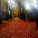 Père-Lachaise : histoires et mystères contés par un comédien - Exploring Père-Lachaise: A Detailed Review