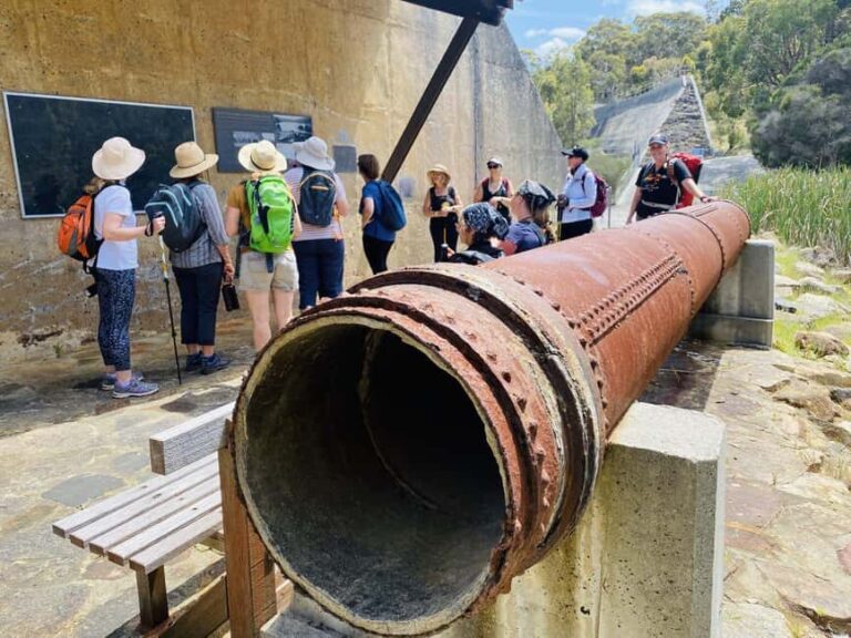 Perth: Bickley Valley Hiking Experience with Morning Tea - The Sum Up: Who Should Consider This Tour?