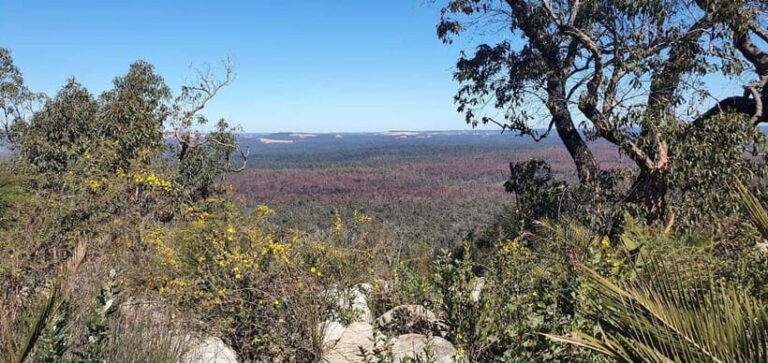 Perth: Darling Range Twin Peaks Hike with Morning Tea - The Sum Up: Who Will Love This Hike?