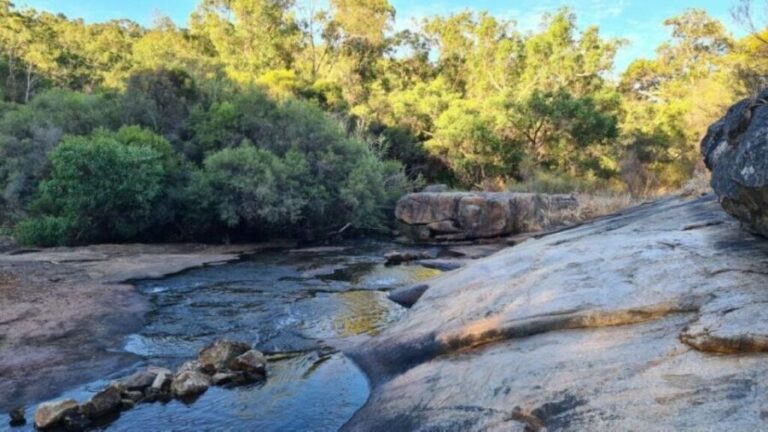 Perth: Hidden Gems Hiking Tour with Lunch and Cider - Who Is This Tour Best For?