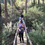 Perth: Hidden Gems of Perth Hiking Tour with Lunch - An In-Depth Look at the Perth Hills Hiking Tour