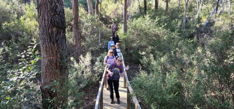 Perth: Hidden Gems of Perth Hiking Tour with Lunch - An In-Depth Look at the Perth Hills Hiking Tour