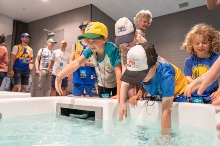 Perth: Optus Stadium Guided Tour - What the Tour Offers