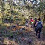 Perth: Piesse Brook Endurance Hike - Why This Hike Offers Great Value