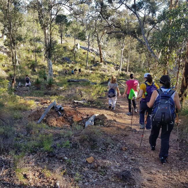 Perth: Piesse Brook Endurance Hike - Why This Hike Offers Great Value