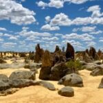 Perth: Pinnacles Desert Bush Walk Guided Tour with Lunch - A Deep Dive into the Pinnacles Desert Day Trip