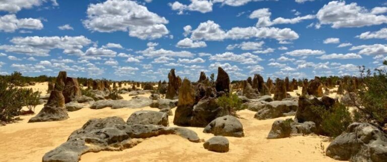 Perth: Pinnacles Desert Bush Walk Guided Tour with Lunch - A Deep Dive into the Pinnacles Desert Day Trip