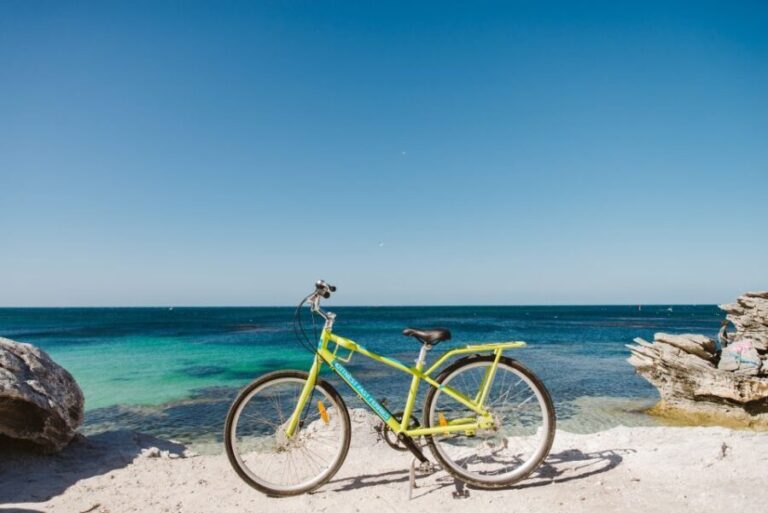 Perth: Rottnest Island Ferry, Bike, Coffee & Lobster Roll - Who This Tour Is Best For