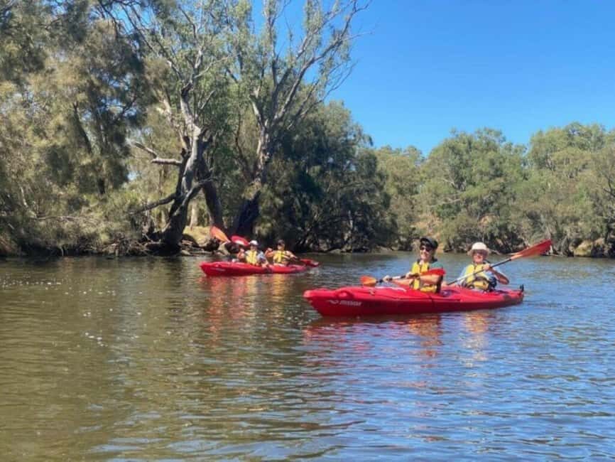 Perth: Swan River Kayak, Wine & Dine Experience - Final Thoughts: Is It Worth It?