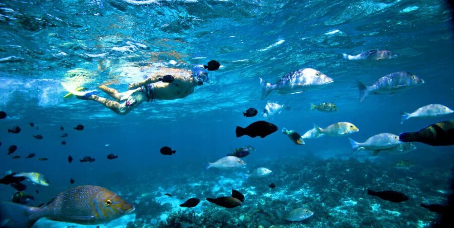 Perth to Exmouth & Return with Monkey Mia & Ningaloo Reef - Why This Tour Offers Great Value