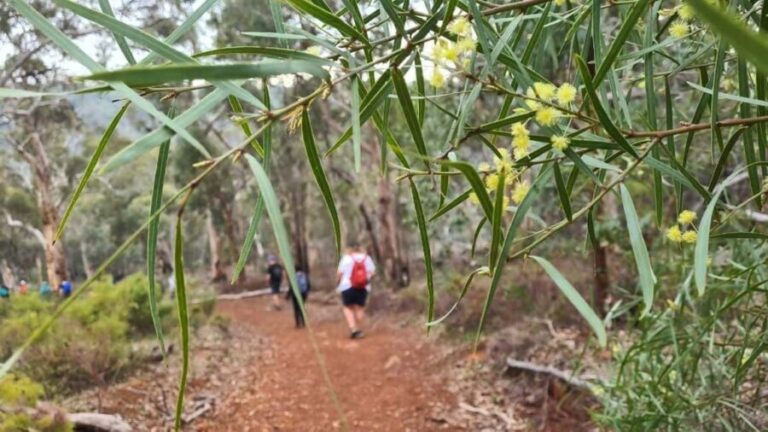 Perth: Waterfalls, Wildflowers & Wandoo Hiking Experience - Frequently Asked Questions