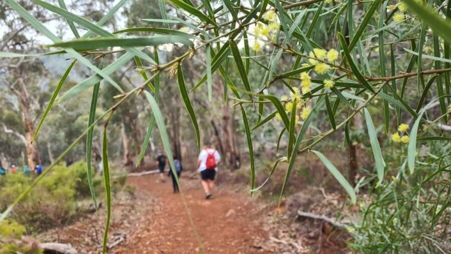Perth: Waterfalls, Wildflowers & Wandoo Hiking Experience - Frequently Asked Questions