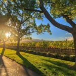 Perth Wildlife Park & City Highlights - Premium Small Group Tour - Who Should Consider This Tour?