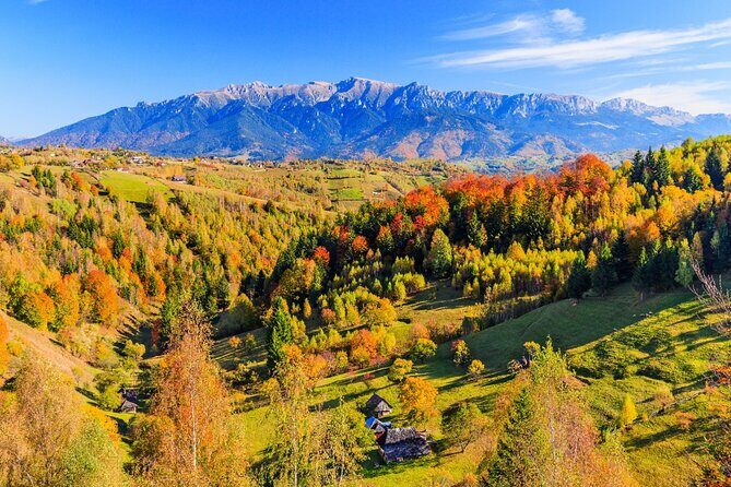 Pestera and Magura Full-Day Private Walking Tour from Brasov - Authenticity, Comfort, and Practicalities