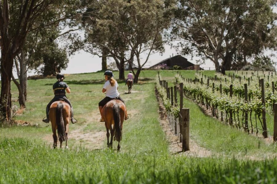 PETALUMA: VIP Equestrian & Private Wine Lunch with Olympian