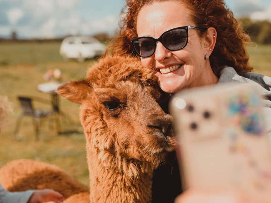 Peterborough: Alpaca Meet and Greet Experience - Who Will Love This?