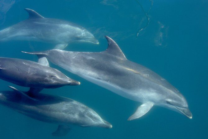 Phantom Sailing Bay of Islands - Exploring the Itinerary — What Makes Each Stop Special