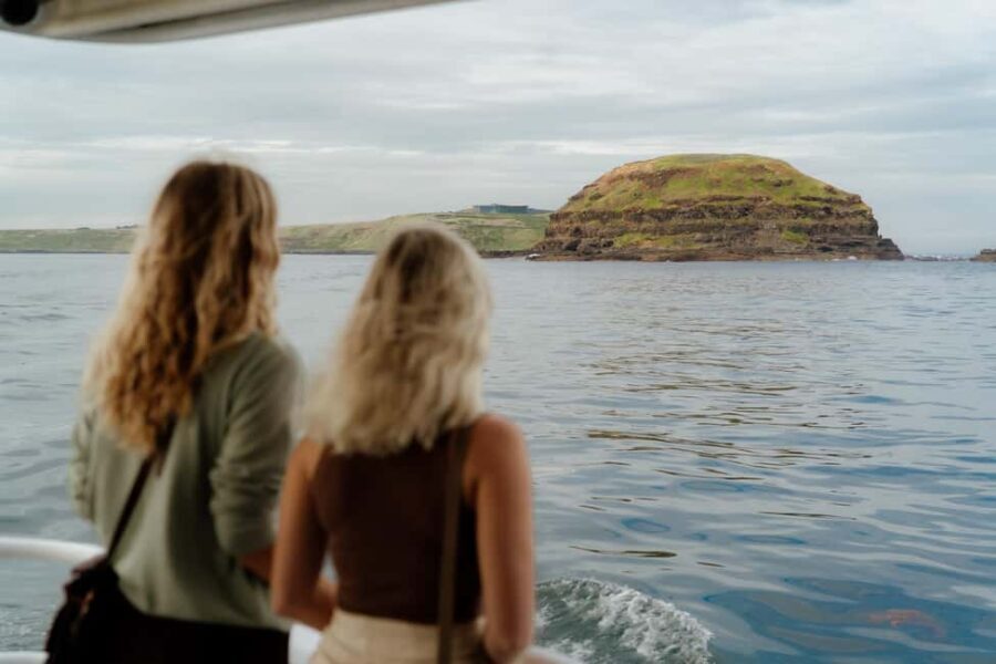 Philip Island: Seal Watching Cruise - Why This Tour Works for Travelers