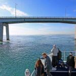 Phillip Island: 1-Hour Cape Woolamai Scenic Cruise - Practical Details You Should Know