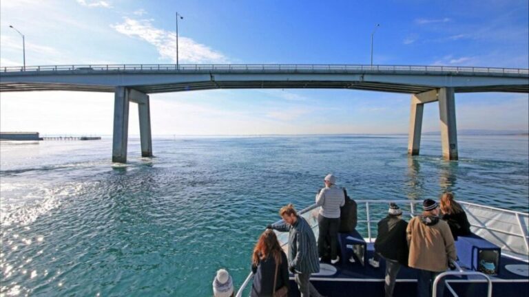 Phillip Island: 1-Hour Cape Woolamai Scenic Cruise - Practical Details You Should Know