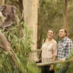 Phillip Island Day Trip from Melbourne with Penguin Plus Viewing Platform - Analyzing the Value
