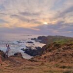 Phillip Island Departure Penguin Parade Tour with Winery Feast - Who Is This Tour Best For?