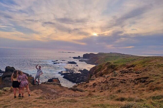 Phillip Island Departure Penguin Parade Tour with Winery Feast - Who Is This Tour Best For?