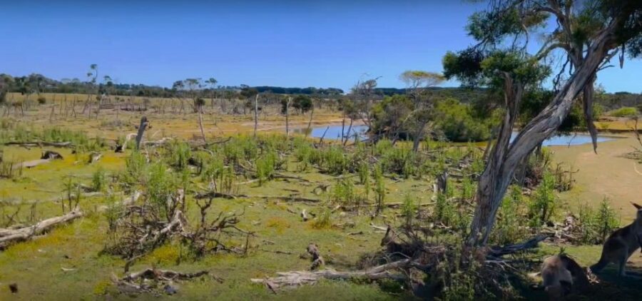 Phillip Island Driving Tour with an APP - Final Thoughts