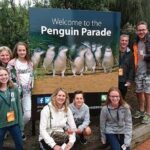 Phillip Island Medium Size Group Tour - A Detailed Look at What to Expect on This Tour