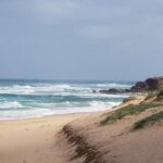 Phillip Island Penguin and wildlife Tour - A Stroll Through Cowes Village