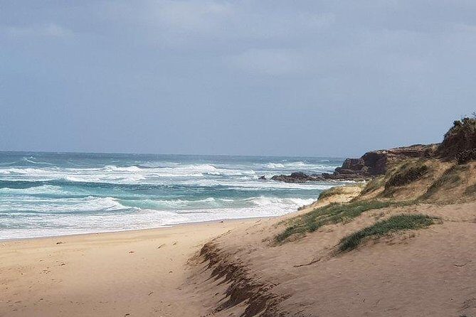Phillip Island Penguin and wildlife Tour - A Stroll Through Cowes Village
