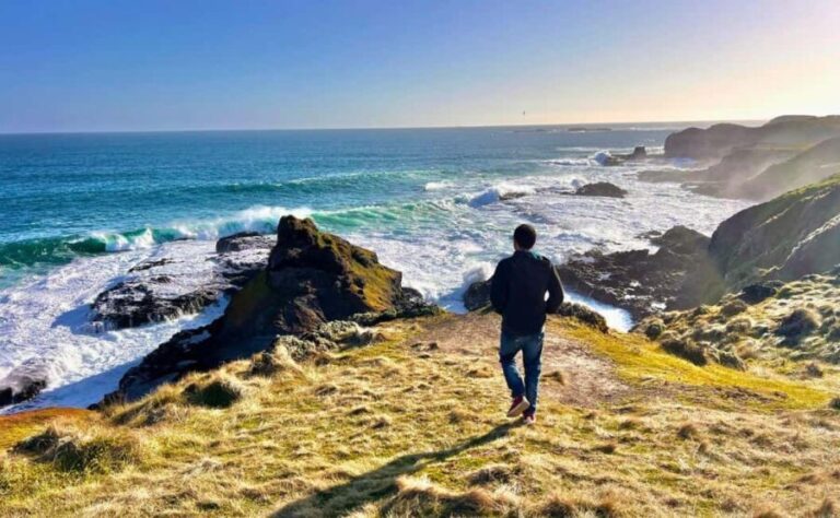 Phillip Island Penguin Parade Afternoon Tour from Melbourne - What to Expect from This Tour