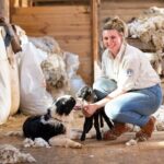 Phillip Island Penguin Parade and Churchill Island Farm Bus Tour - Who Is This Tour Best For?