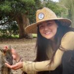 Phillip Island Penguin Parade and Wildlife Tour from Melbourne - What Makes This Tour Special?