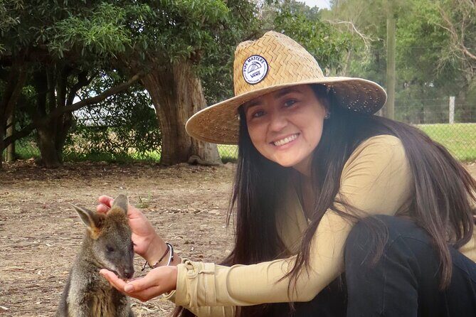 Phillip Island Penguin Parade and Wildlife Tour from Melbourne - What Makes This Tour Special?