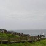Phillip Island Penguin Parade Private Tour - The Value of a Private Guided Day