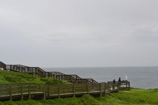 Phillip Island Penguin Parade Private Tour - The Value of a Private Guided Day