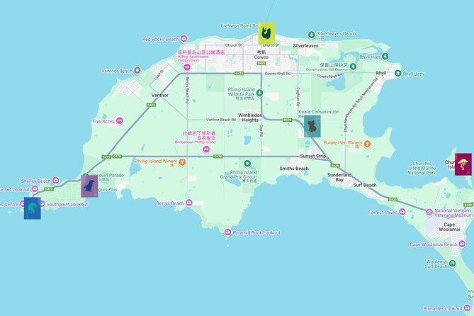 Phillip Island Private Tour: Penguin Parade & Wildlife Day - Final Thoughts: Is It Worth It?