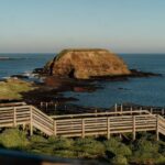 Phillip Island Wildlife Tour: Koalas, Penguins & Coastal Views - Transport, Logistics, and Overall Value