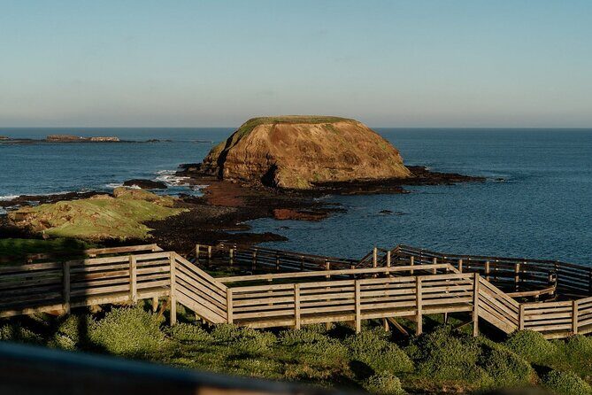 Phillip Island Wildlife Tour: Koalas, Penguins & Coastal Views - Transport, Logistics, and Overall Value