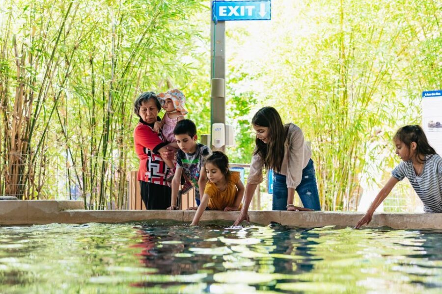 Phoenix Zoo One Day General Admission Ticket - Who Should Consider This Tour?